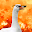 Fierce Goose's user avatar