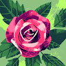 Created by
