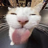 施凱瀚