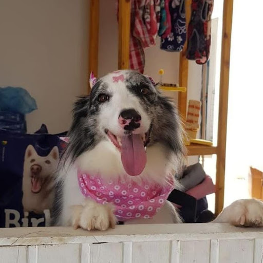 Rute Elena Alves de Souza