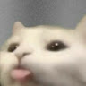 㑍