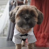 charley