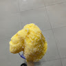 Yang Yang 6