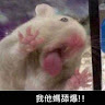 馮上慈