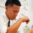 Kullanıcı: Som Pong