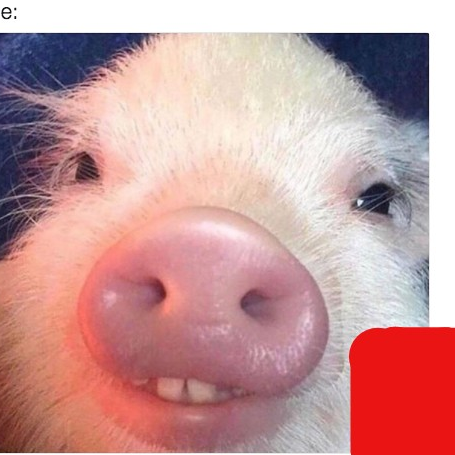 Md Tajudin idiot Gamer