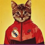 Денис Постушков