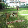 Photo du rédacteur: Association Haliesfalctes
