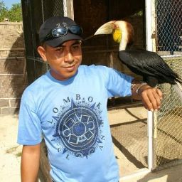 author