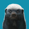 GitBook profile picture for @active