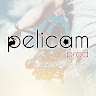 Photo du rédacteur: Pelicam Prod