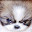 clover hansel's user avatar