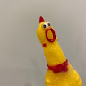 iam
