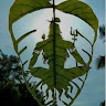 user-avatar