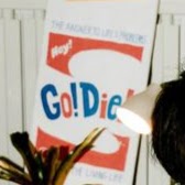 Hoàng Ngọc Thanh Vy