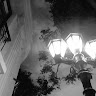 author-avatar