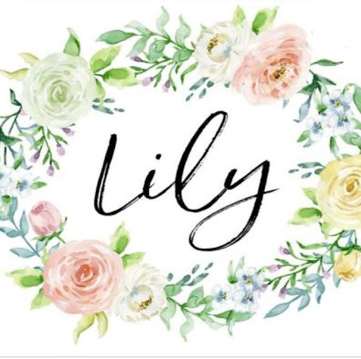 lily vlogs