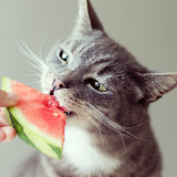 Kullanıcı: Jackie Bolero