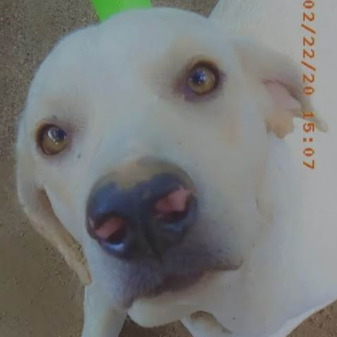 Juliana Maria Hinojosa Peralta