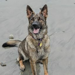 Sophie