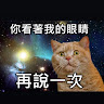 張婷媛