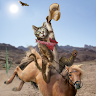 Cat CowBoy