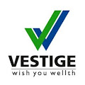 Vestige business profile pic