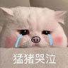 許文祈