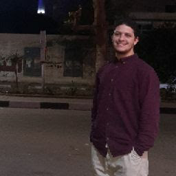 Hesham Mahmoud Avatar