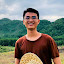 Quân Hoàng Phan's user avatar