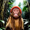 Image pertaining to BRANSON MODOU