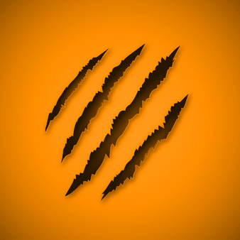 Image pertaining to TIGERYT SC