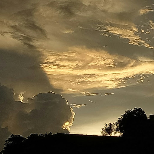 profile image of gazala