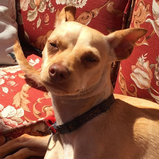 I͓̽ R͓̽a͓̽m͓̽e͓̽n͓̽