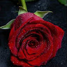 Created by