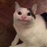 Khánh Linh UwU Vũ