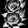 tracey78