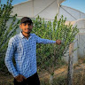 Brijesh Thakur profile photo on Socialveins portofolio