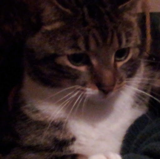 author