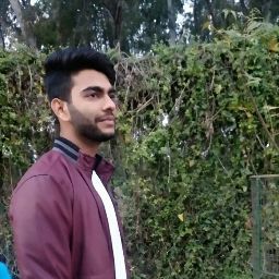 Abhinav Goyal