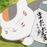 貓咪君