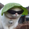 Reviewer avatar