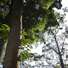 Foto del escritor: Daniela Araluce