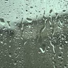 shower rain