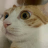 宇 n