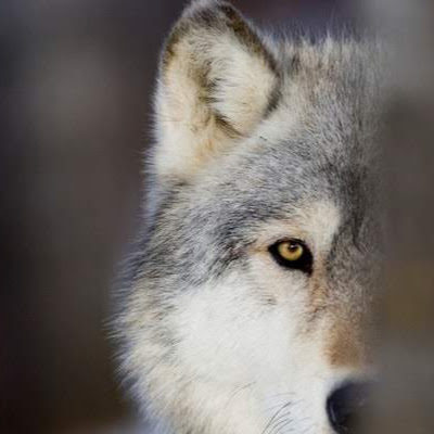 Rodrigo Oliveira MIranda