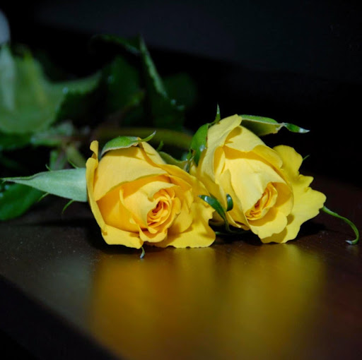 profile image of Jaimini Patel