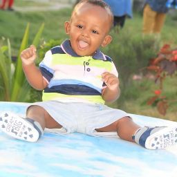 abdiqani arif