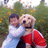 李柏葳