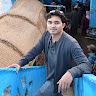 Shulhi Sapli